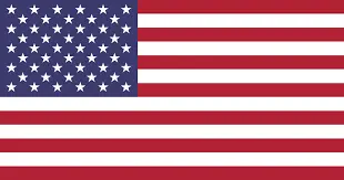 american flag-Bear
