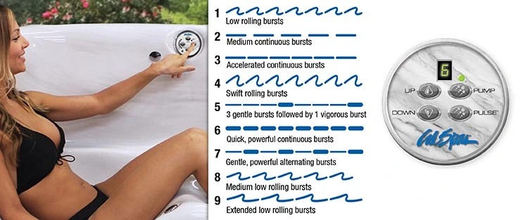 ATS Control for hot tubs in Bear