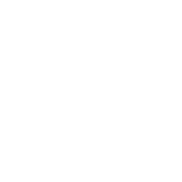 ce logo Bear