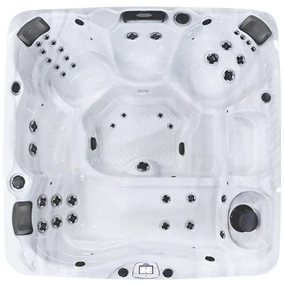 Avalon-X EC-840LX hot tubs for sale in Bear