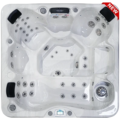 Avalon-X EC-849LX hot tubs for sale in Bear